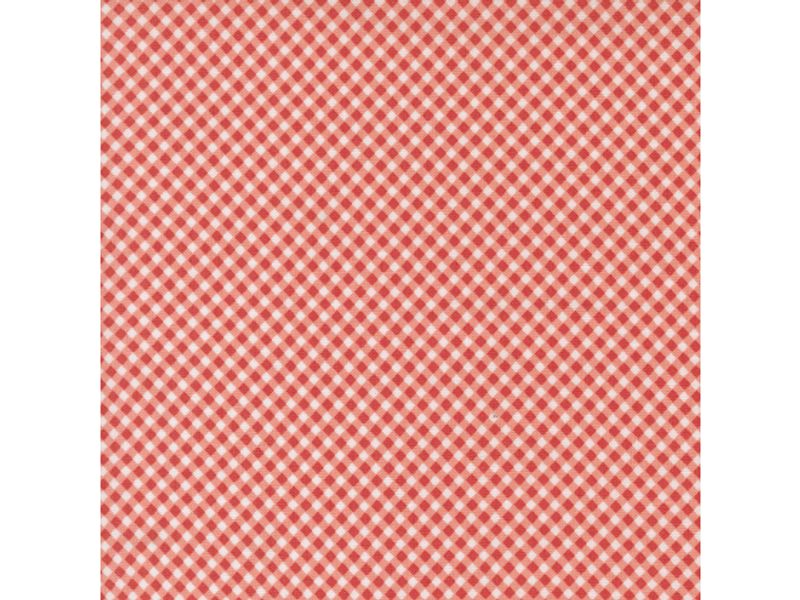 Raspberry summer pink gingham