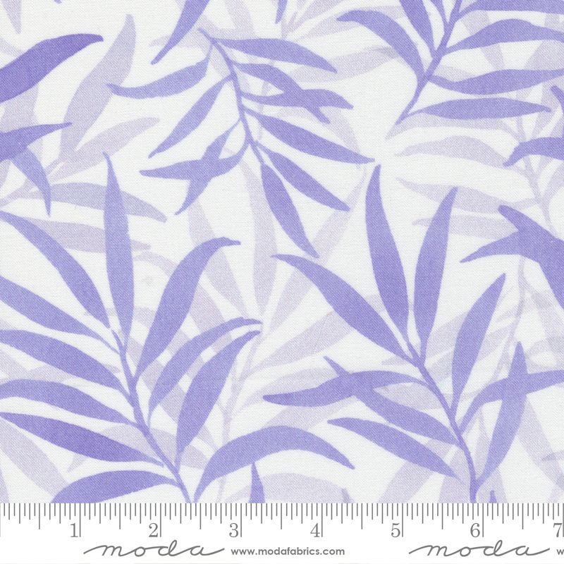 Chickadee purple leaf 50cm