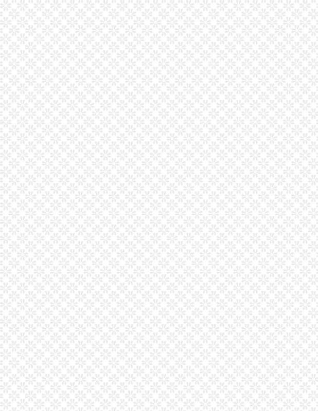 Essentials white daisy