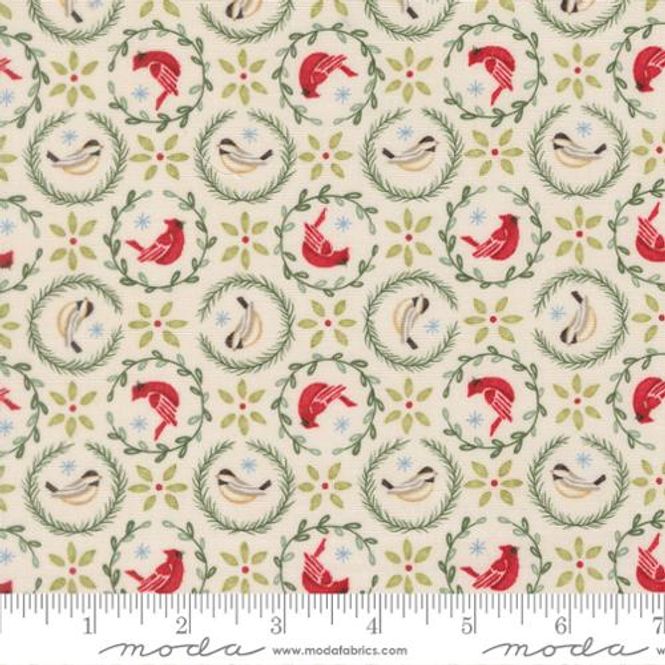 Hovedbilde When snow falls birds