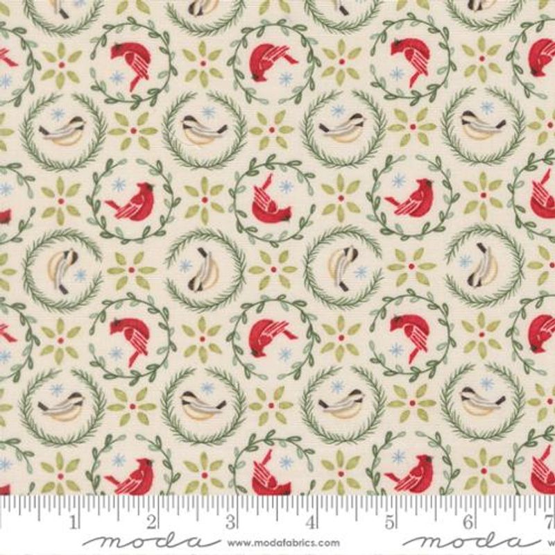 When snow falls birds