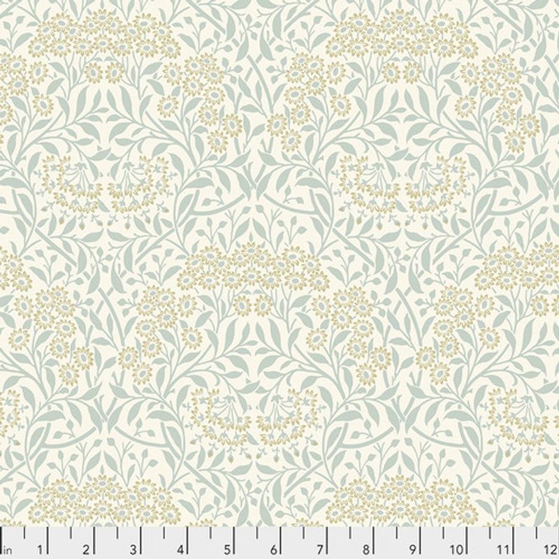 Morris michaelmas daisy